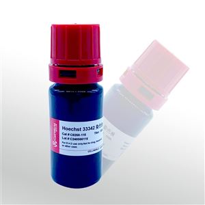 CellWorld Hoechst 33342 染色液（1mg/mL）C0260-115 10ml